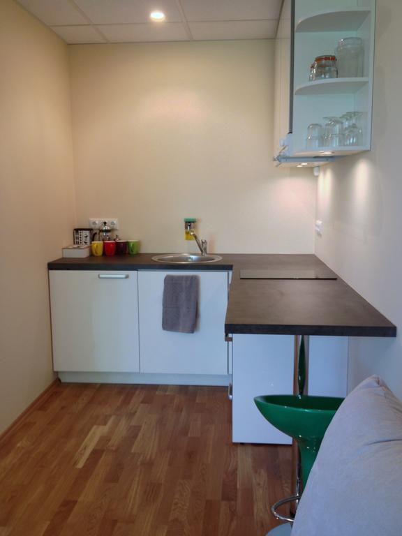 Fortuuna 5 Apartment タルトゥ エクステリア 写真